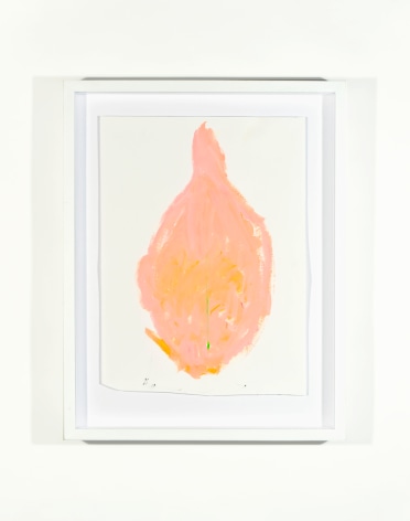 SKYLAR FEIN Pussy, 2011