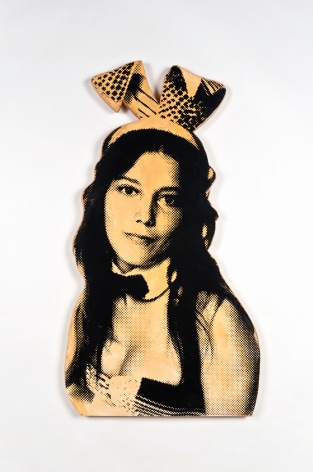 SKYLAR FEIN Penny, 2011