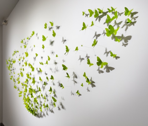 PAUL VILLINSKI, Arcus, 2012