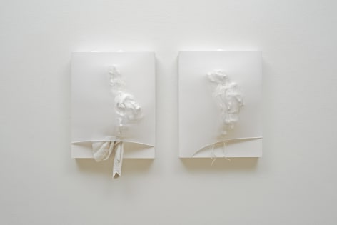 SIDONIE VILLERE January&nbsp;[diptych], 2015