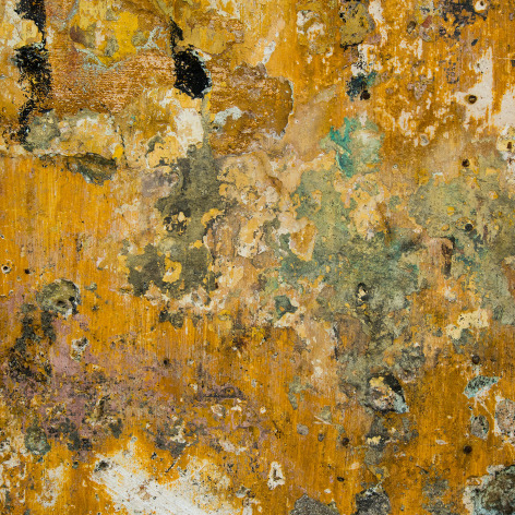 JENNIFER RICO, Havana Pantone, Amarillo Zulueta, 2018