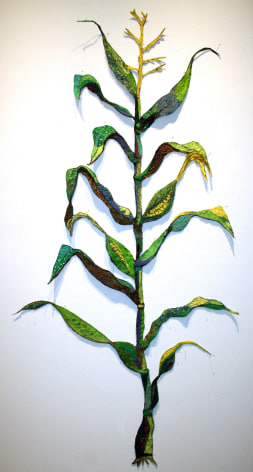 GINA PHILLIPS Thirsty Cornstalk, 2015