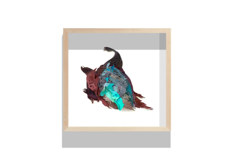 ALEXANDRA CHIOU, Renewal, 2023