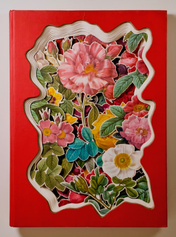 TONY DAGRADI, A Rose By Any Other Name, 2022