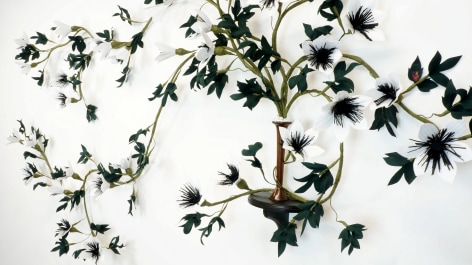 CARLTON SCOTT STURGILL, Tuxedo Clematis (Clematis tuxedis)&nbsp;[detail], 2018