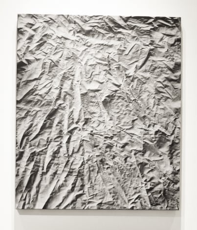 BONNIE MAYGARDEN Photo.Copy, 2014