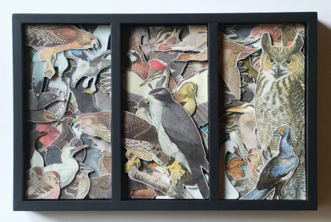 TONY DAGRADI, The Birds (1936), 2018