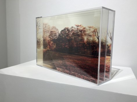 ROSEMARY SCOTT-FISHBURN The Dream Became Solid&nbsp;[side view], 2015