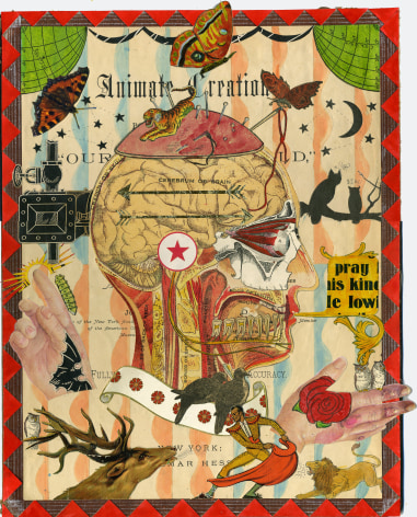 MICHAEL PAJON A Steady Gaze, and a Matadors Nerve, 2014