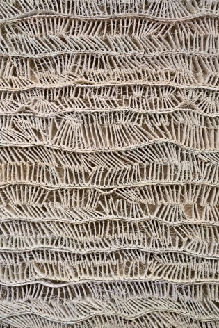 ANITA COOKE Strata (Pressure)&nbsp;[detail], 2015