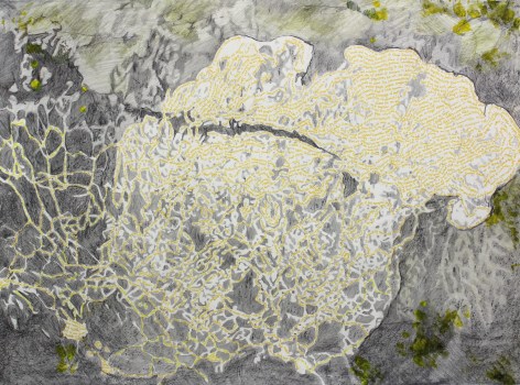 RICHELLE GRIBBLE Self-Organization, 2016