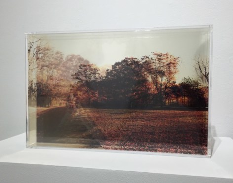 ROSEMARY SCOTT-FISHBURN The Dream Became Solid, 2015