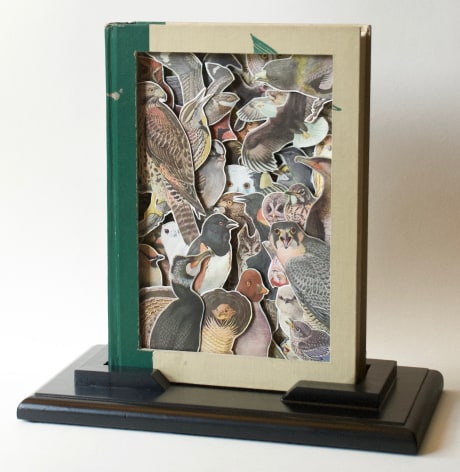 TONY DAGRADI, Birds of America, 2018