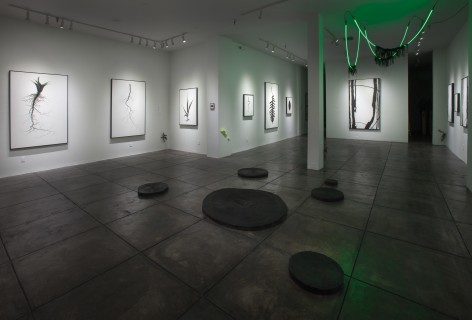 BRIAN BORRELLO III Dark Matter, [Main Gallery Installation View]