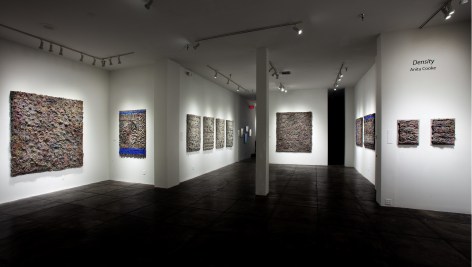 ANITA COOKE&nbsp;III&nbsp;Density, [Main Gallery Installation View]