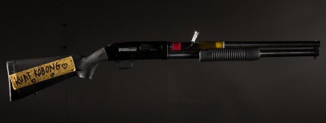 SKYLAR FEIN Kurt Cobong, 2014