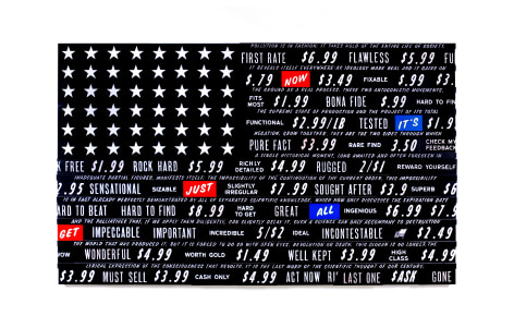 SKYLAR FEIN Black Flag for Guy Debord, 2009