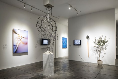 Sin T&iacute;tulo&nbsp;installation | | | &nbsp;JONATHAN FERRARA GALLERY, 4 November - 28 December 2017