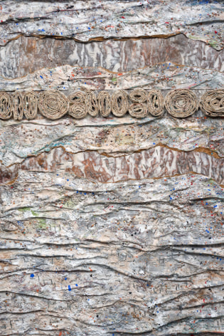 ANITA COOKE Water/Ground (Fossils)&nbsp;[detail], 2015