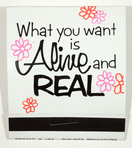 SKYLAR FEIN What You Want is Alive and Real,&nbsp;2014