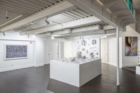 Sin T&iacute;tulo&nbsp;installation | | |&nbsp;&nbsp;Art Gallery of the Consulate of Mexico, 4 November - 28 December 2017