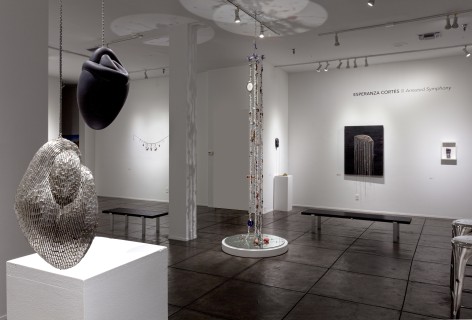 ESPERANZA CORT&Eacute;S&nbsp;, Arrested Symphony