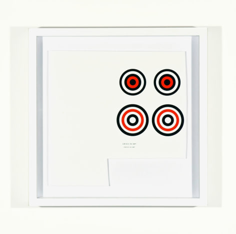 SKYLAR FEIN Crisis in Art, 2011