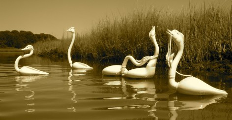 MICHAEL COMBS, The Evolution of Desire, 2006