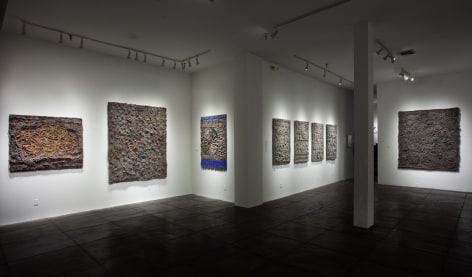 ANITA COOKE&nbsp;III&nbsp;Density, [Main Gallery Installation View]