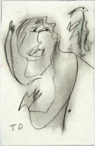 THORNTON DIAL, Catching the Bird, 1999