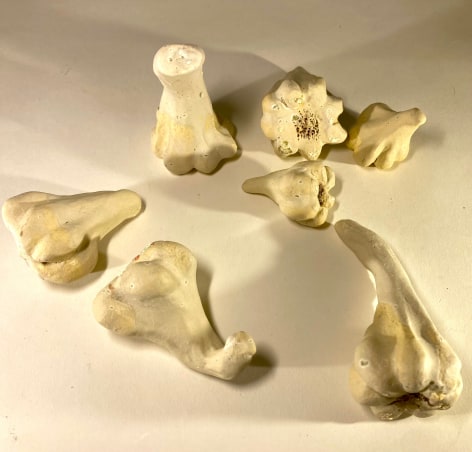 JENNY DAY, Garlic, 2025