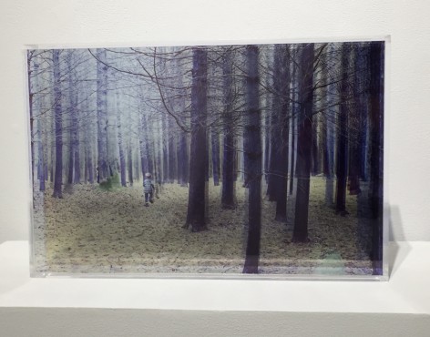 ROSEMARY SCOTT-FISHBURN When You Tried to Catch Me, 2015