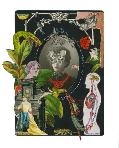 MICHAEL PAJ&Oacute;N Every Town Turns Jungle and Tigers Prowl, 2016