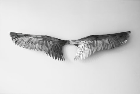 PAUL VILLINSKI, Aerialist, 2017