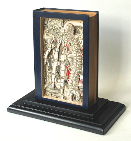 TONY DAGRADI Gray&#039;s Anatomy, 2016