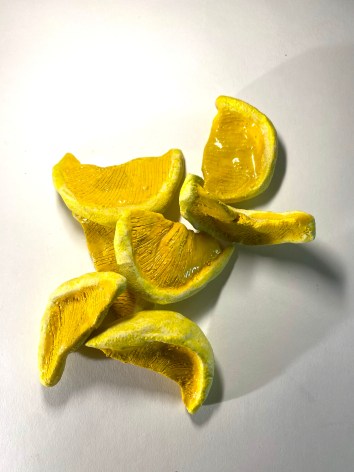 JENNY DAY, Lemons, 2025