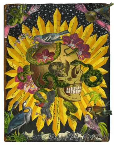 MICHAEL PAJON Of Saints and Serpents, 2014