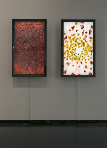 RYAN LEWIS, Everted Sanctuaries V, 2017