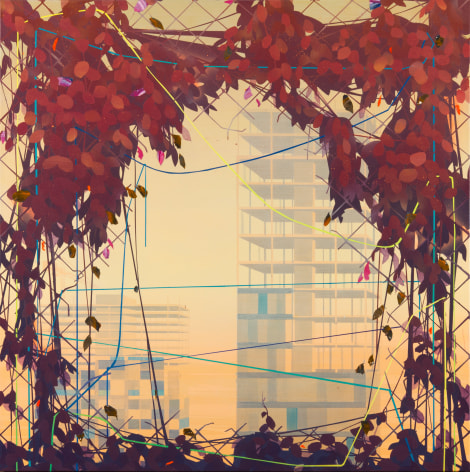 ROBERT MINERVINI, Grizzly Peak, 2016