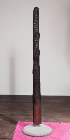 GINA PHILLIPS, Charred Sentry 1, 2020