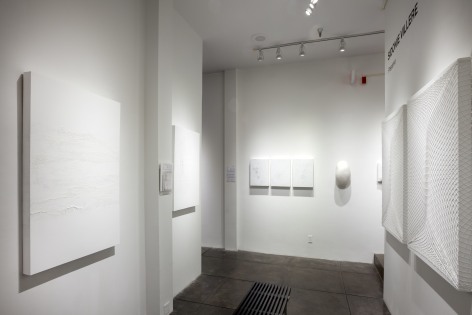 SIDONIE VILLERE III Preserve, [Middle Gallery Installation View]