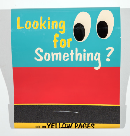 SKYLAR FEIN Looking for Something? (Use the Yellow Pages), 2015