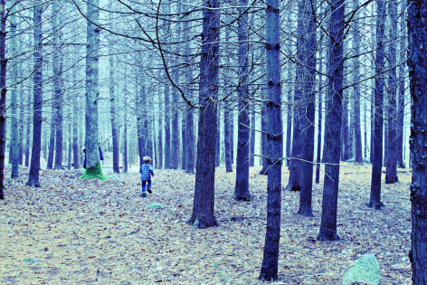 ROSEMARY SCOTT-FISHBURN When You Tried to Catch Me&nbsp;[image view], 2015