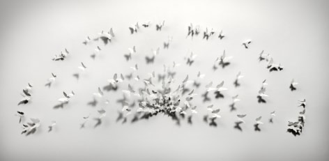 PAUL VILLINSKI, Radius, 2017