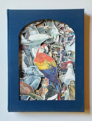 TONY DAGRADI, Birds Of The World, 2020