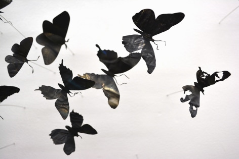 PAUL VILLINSKI, Gyre (blue butterflies), 2017