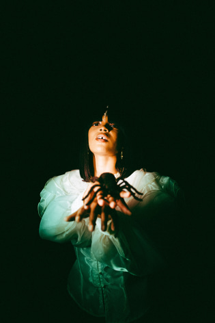 TRENITY THOMAS, Latrodectus Pallidus, 2020