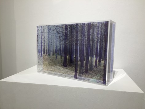 ROSEMARY SCOTT-FISHBURN When You Tried to Catch Me&nbsp;[side&nbsp;view], 2015