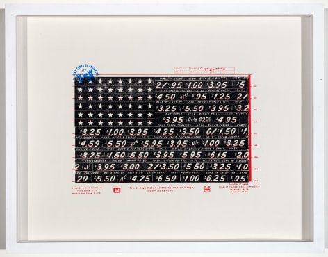 SKYLAR FEIN Soul Food Flag for the Army Corps, 2013