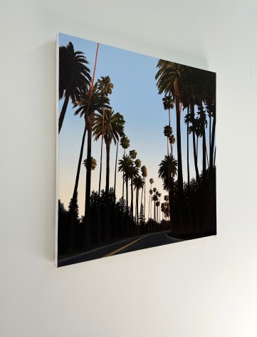 KRISTIN MOORE, California Palms, 2023